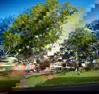 Big Bat Wildlife and Eco Festival - Restaurants Sydney