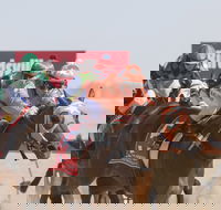 Birdsville Races - Restaurants Sydney