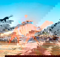 Boulia Camel Races - Restaurants Sydney