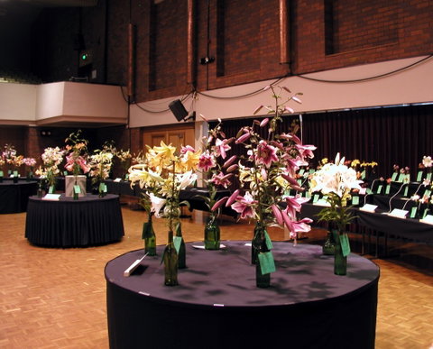 Burnie Lilium Show - Restaurants Sydney 0