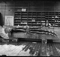 Capturing Nature Early photography at the Australian Museum 1857  1893 - Restaurants Sydney