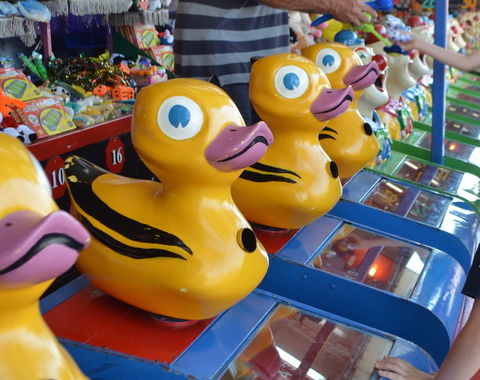 Casino Agricultural Show - Restaurants Sydney 0