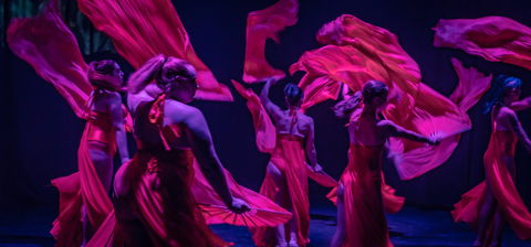 Darwin Fringe Festival - Restaurants Sydney 1