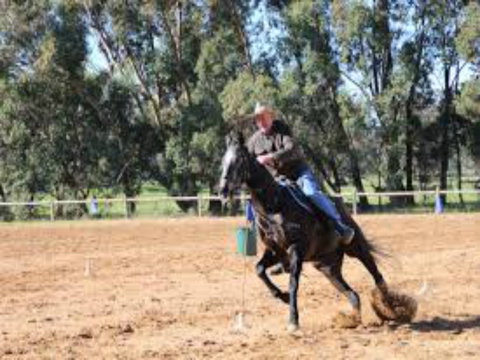 Glen William Gymkhana - Restaurants Sydney 1