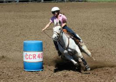 Glen William Gymkhana - Restaurants Sydney 2