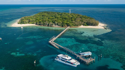 Great Adventures Green Island Ocean Swim - Restaurants Sydney 0