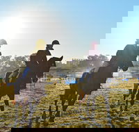 Gunnedah Showjumping Festival - Restaurants Sydney