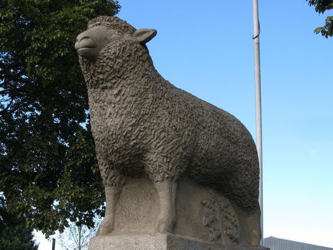 Guyra Lamb And Potato Festival - Restaurants Sydney 0