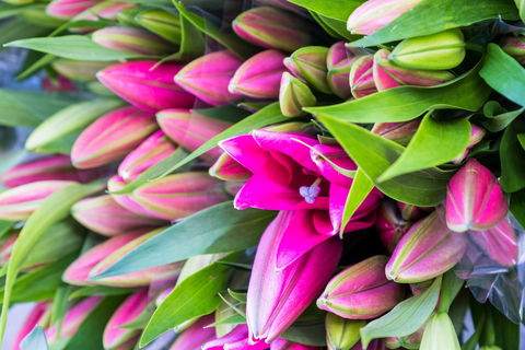 Harvest Launceston Community Farmers' Market - Restaurants Sydney 0