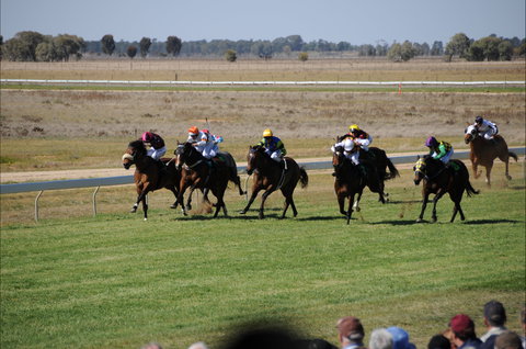 Jerilderie Gold Cup Races - Restaurants Sydney 0