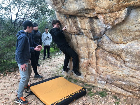 July 2020 Holidays- Forest Adventures Treasure Hunt - Restaurants Sydney 1