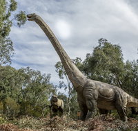 Lost Sanctuary at Healesville Sanctuary - Restaurants Sydney