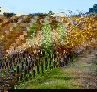 Miners Ridge Wine Tasting - Restaurants Sydney