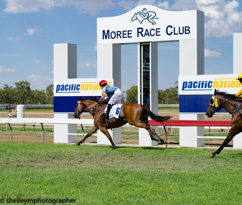 Moree Race Club TAB Race Day - Restaurants Sydney 0