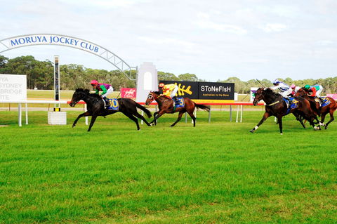 Moruya Cup - Restaurants Sydney 2