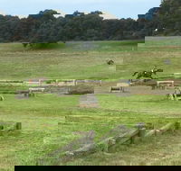 Mount Gambier and District Pony Club Horse Trials 2020 - Restaurants Sydney
