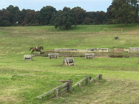 Mount Gambier And District Pony Club Horse Trials 2020 - Restaurants Sydney 0