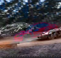 Narooma Forest Rally - Restaurants Sydney