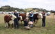 Noorat Show - thumb 0