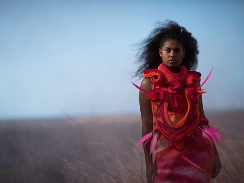 Piinpi: Contemporary Indigenous Fashion - Restaurants Sydney 0