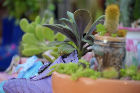 QCWA Sunday Markets Charters Towers - Restaurants Sydney 2