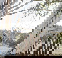 Sculptures in the Garden - Restaurants Sydney