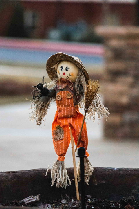 Tamborine Mountain Scarecrow Festival - Restaurants Sydney 0