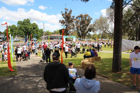Taste Coleambally- Food And Farm Festival - Restaurants Sydney 1