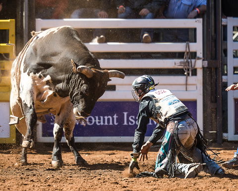 The 2020 Virtual Mount Isa Mines Rodeo - Restaurants Sydney 2