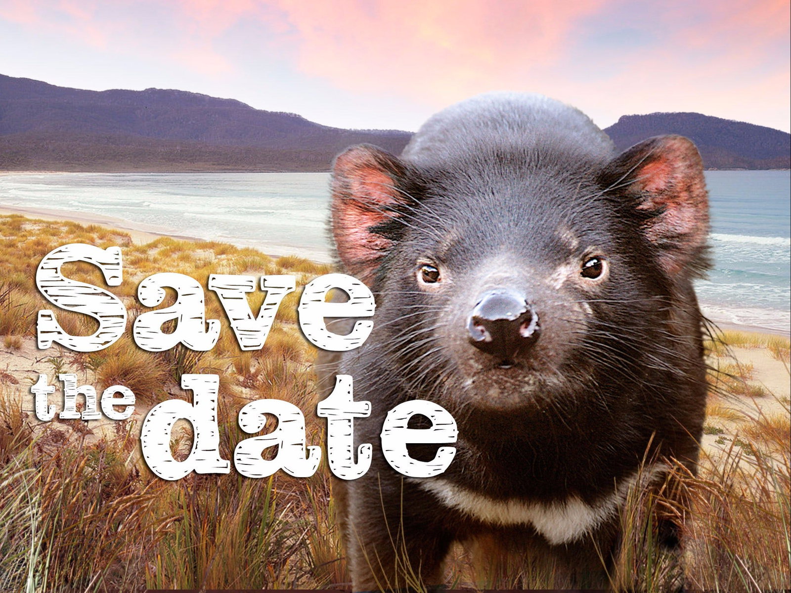 Antill Ponds TAS Restaurants Sydney