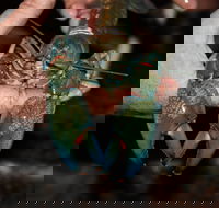 Windorah International Yabby Races - Postponed - Restaurants Sydney