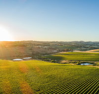 Wine and Food at Altitude - Restaurants Sydney