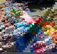 Wynyard Foreshore Market - Restaurants Sydney