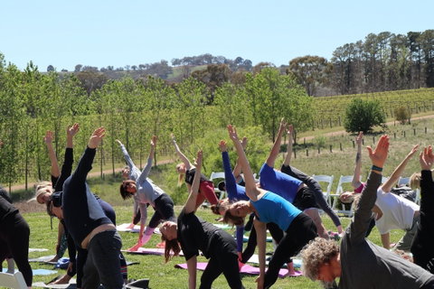 Yoga In The Vines - Restaurants Sydney 0
