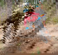 Fox Superflow sealed by Stan's Race  Greenvalleys - Restaurants Sydney