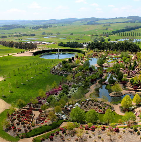 Mayfield Garden Spring Festival - Restaurants Sydney 1