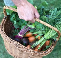 Orange Farmers Market - Restaurants Sydney