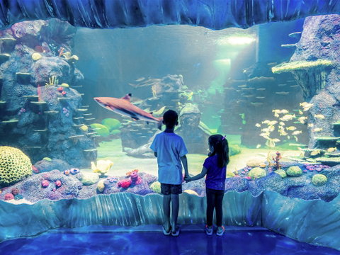 Sydney's Aquarium - Restaurants Sydney 1