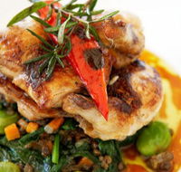 Stella Italian Kitchen  Pizzeria - Restaurants Sydney