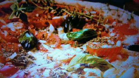 Alfio's Pizzeria - Restaurants Sydney 0