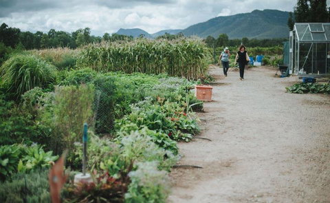 Delicado Foods & Wines - Restaurants Sydney 6