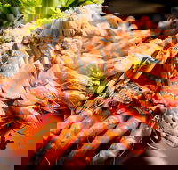 Table 30 - Restaurants Sydney