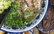 Lanzhou Beef Noodle Bar - thumb 0