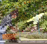 Bella Restaurant - Restaurants Sydney