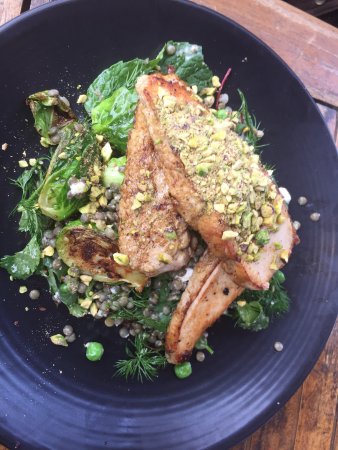 The Pond Cafe - Restaurants Sydney 0