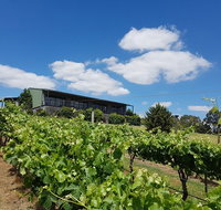 Traralgon Vineyard - Restaurants Sydney