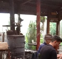 Bodhi Tree - Restaurants Sydney