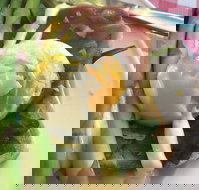 Koffie Bean - Restaurants Sydney