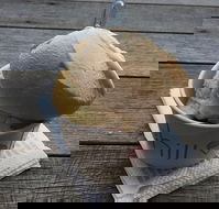 Chill - Restaurants Sydney