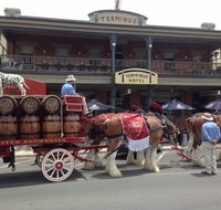 Terminus Hotel - Restaurants Sydney